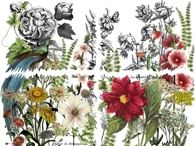 Thumbnail: Iron Orchid Designs IOD Midnight Garden Transfer