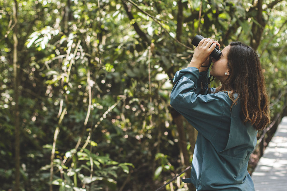 Thumbnail: La manigua lodge - Discover Caño Cristales (2 nights)