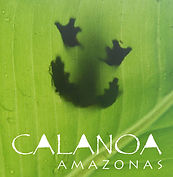 Luxury hotel in Amazonas
