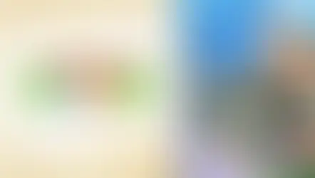 12月のおすすめ