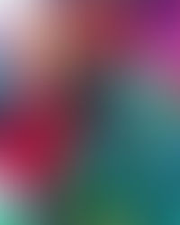 My other umbrella…