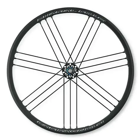 パーツ Campagnolo SHAMAL MILLE Campagnolo Shamal Mille C17 Wheelset | POSST