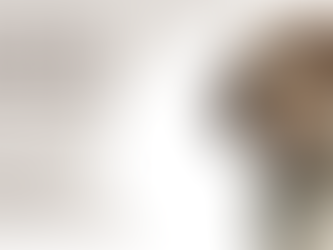 Ontdek de wereld van jouw Lagotto Romagnolo met The Breed Archive, deel 1