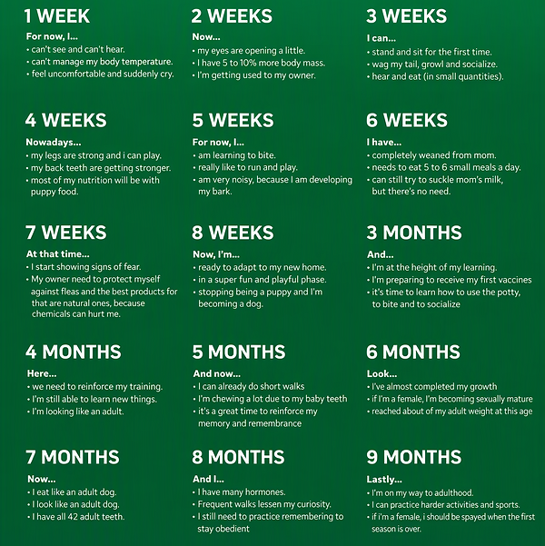 Puppy_life_upto_9_months.png