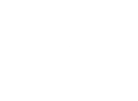 amorf (1).png