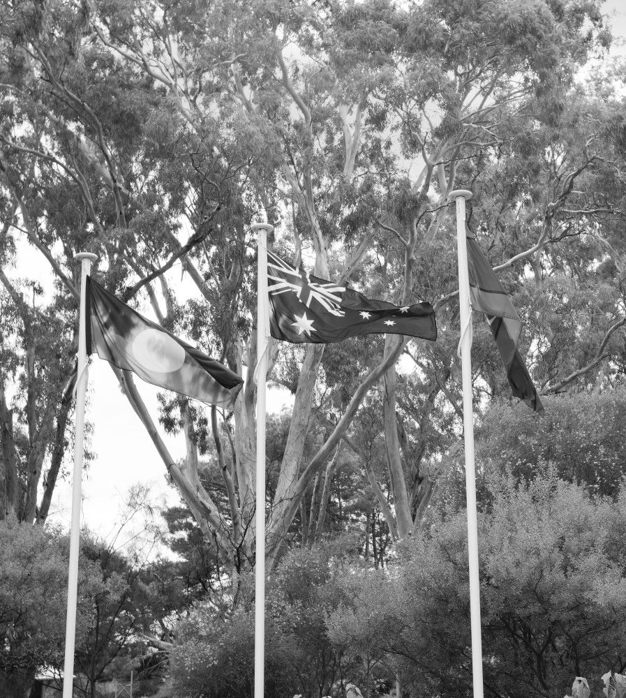 Mclaren-Vale-Hospital-community-history_edited.jpg