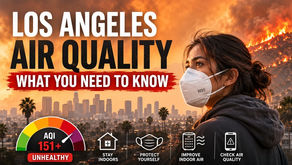 Worried About the Air Quality In Southern California?