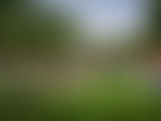 Growing Dignity in Compton: The ALMA Backyard Farms Story