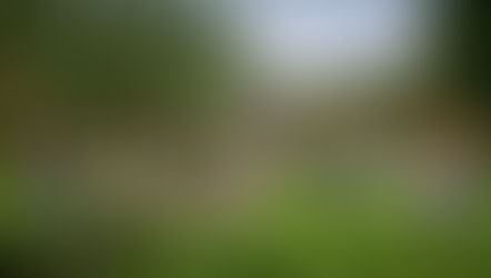 Growing Dignity in Compton: The ALMA Backyard Farms Story