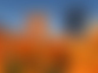 🌱A Parent’s Guide to Teaching Environmental Education — Through Spring Living