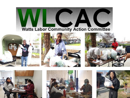 Employment Opportunities With WLCAC