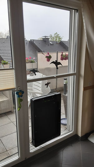 Schulte-Bahrenberg - ISO mit Hundeklappe.jpg