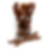 Beef Jerky