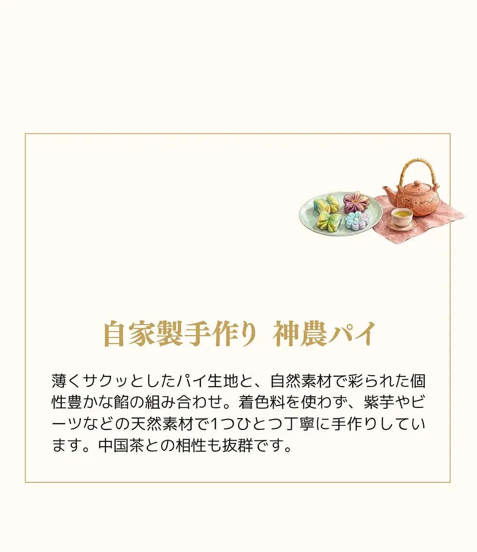 #fffbf5 (10) (1).webp