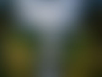 Singapore's Changi Airport - A Dream Destination in Itself