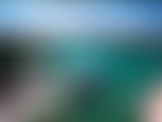 Let's Go to Lake Havasu!