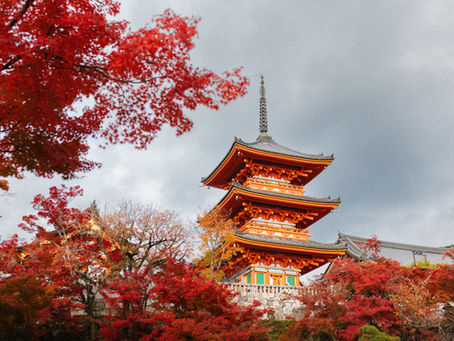 Skipping Summer Travel? Here Are 4 Incredible Destinations to Visit This Fall and Winter Instead