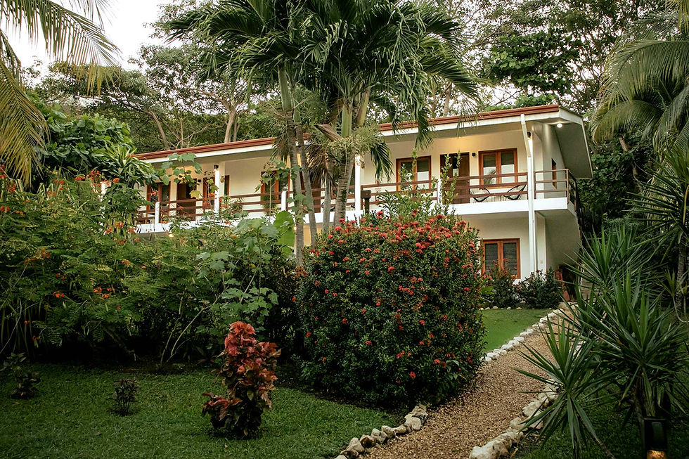 Eco-Luxury Is the New Luxury: Sustainable Stays Worth Booking