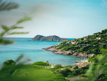 Summer in the South of France