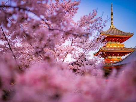 Exploring Kyoto’s Temples by Season