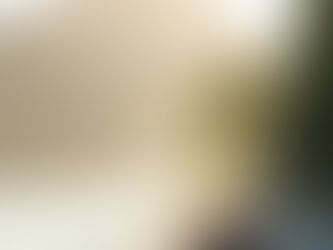 Discover the Hidden Gem of the Caribbean