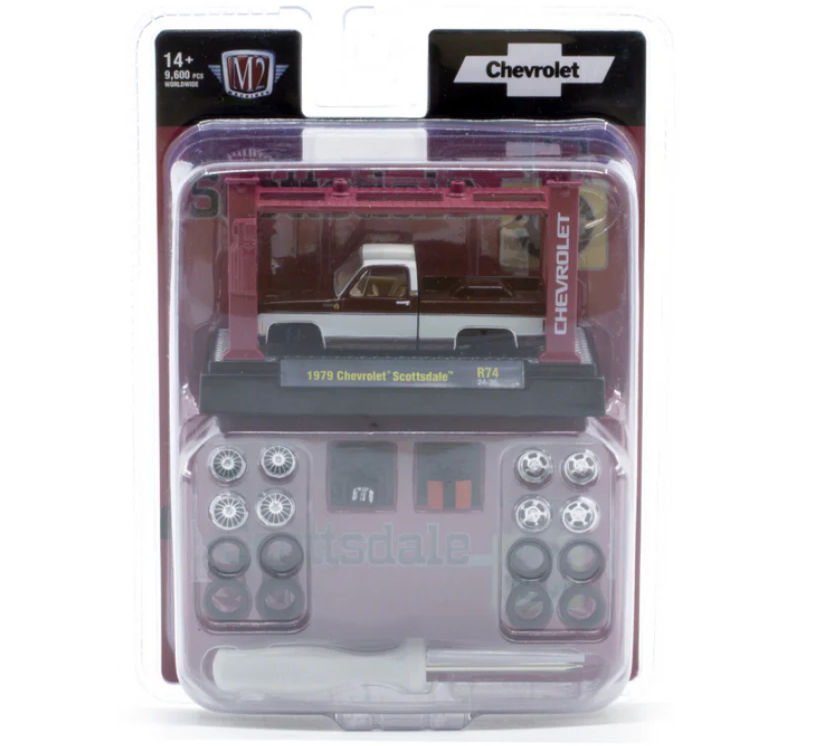 1979 CHEVROLET SCOTTSDALE R74