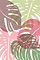 Monstera Multi.jpg