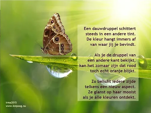 kracht van samenwerken.webp