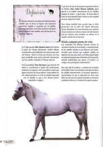 lienzo_charro_origen_4.jpeg
