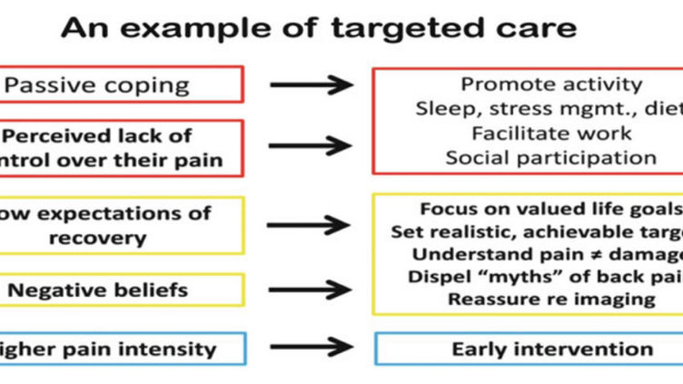 Training The Whole Person: Supporting Clients' Physical, Psychological, Spiritual and Social Health.