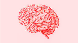 Piece of Mind Cards: Mind Training Prompts to Keep Stroke Survivors Motivated