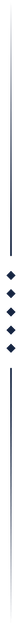 Взято из Canva