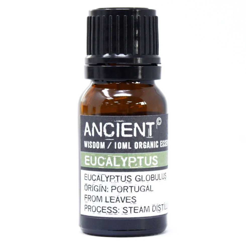 Thumbnail: Eucalyptus Organic Essential Oil 10ml