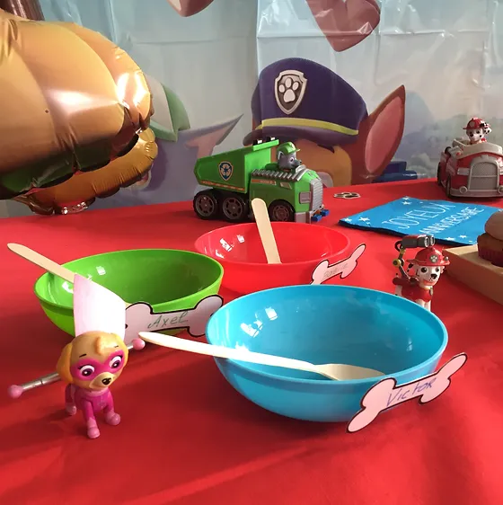 Pat Patrouille Kidsanddiy