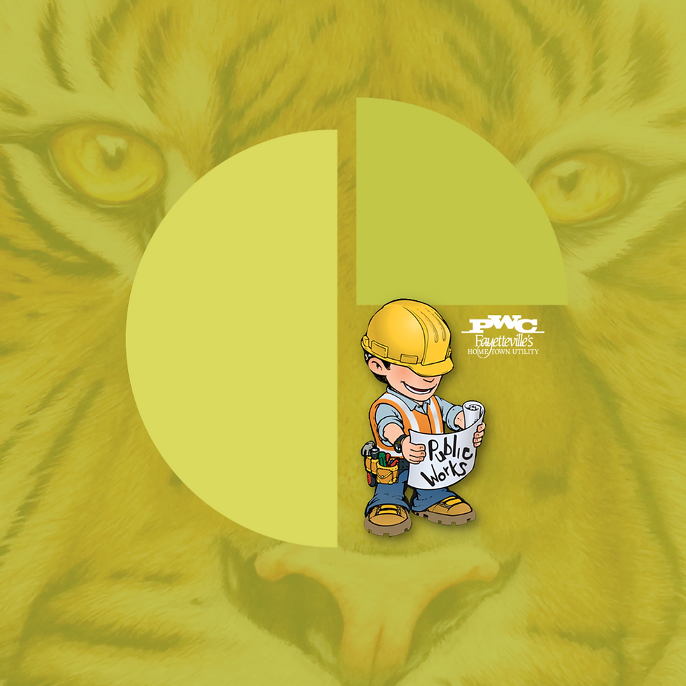 Preregistration: Public Works