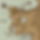 Partin.jpg