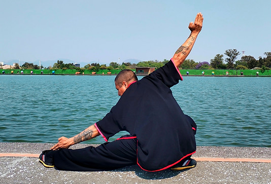 Wushu Pu Bu Hu Dao