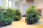 Elegant indoor plantscaping with large potted plants and modern planters in Philadelphia, PA
