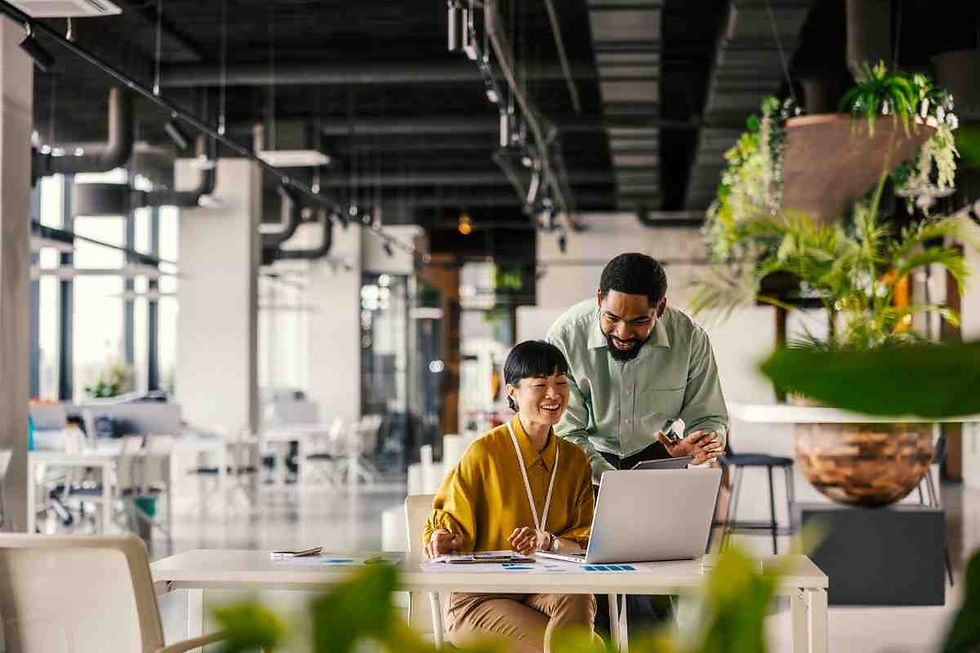 Ultimate Guide to Indoor Plant Selection for a Variety of Office Plants by Grundys Plantscaping's 