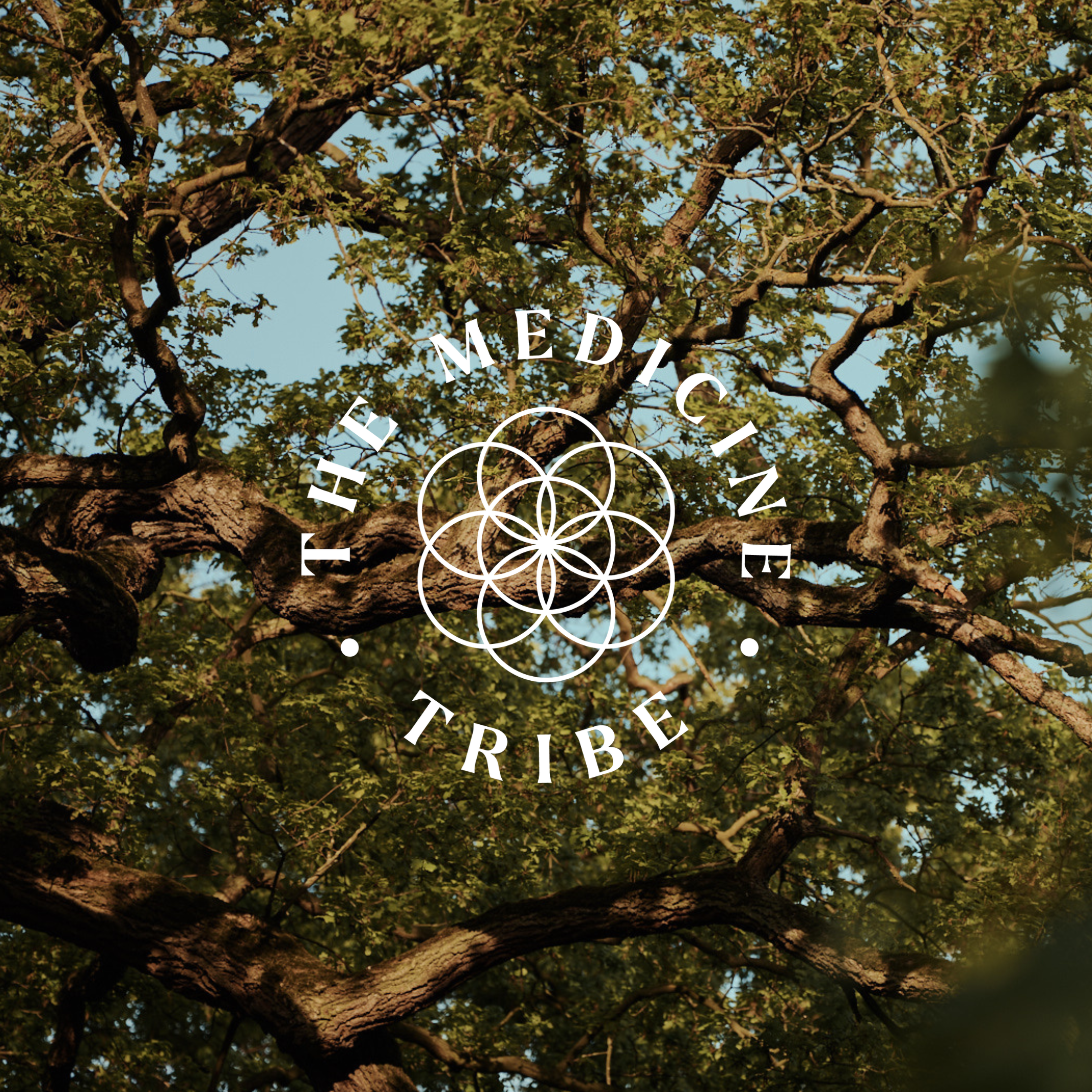 Find Your Medicine path retreat: The Unbecoming