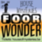 FOORWONDER - de show 20u