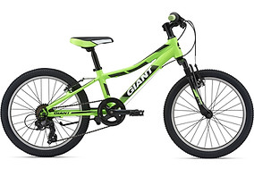 XtC_Jr_20_Color_A_Green.jpg