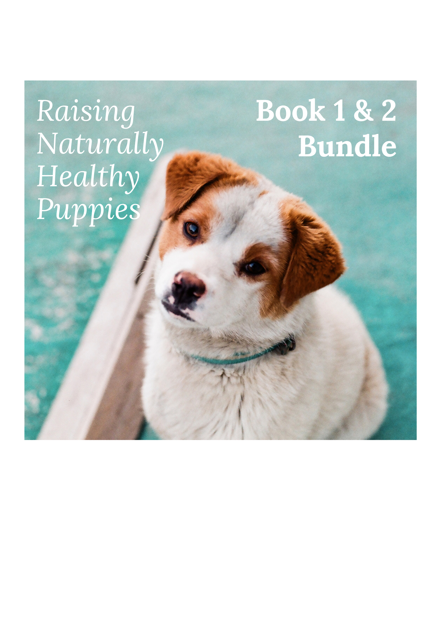 Raising Naturally Healthy Puppies Ebook Bundle