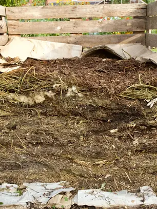 NYT: Compost Happens
