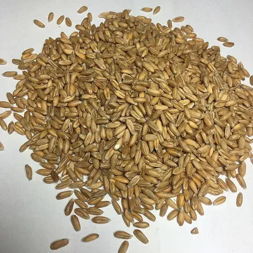 Thumbnail: Bio mini Kissen Lavendel Wildschwein dunkelbraun mit Dinkelkörner Füllung