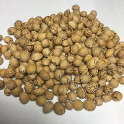 Thumbnail: Bio Wärmekissen Ziege beige warm machen mit Kirschkern Füllung