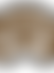 Darkus Magazine at Call of the Wild Festival 2026