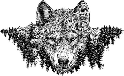 wolf (1).jpg
