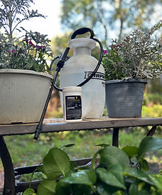 IMG_E2255.JPG