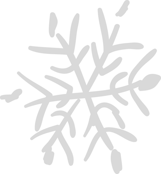 Snowflake _edited.png